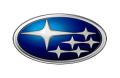 Subaru аэрозоль