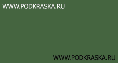 6002 RAL Лиственно-зеленый (Laubgrun, Leaf green). Аэрозольный баллон с краской