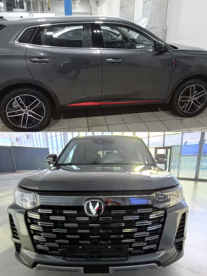 Y24, 062, CA062, SH9 CHANGAN Горный, Звездный Серый, Andean Ash, Andes Grey, 20 мл.