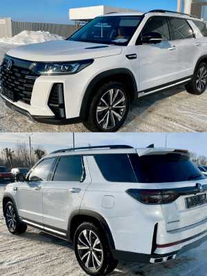 WC4 CHANGAN Полярный Белый, Polar White, Elf White, 2*20 мл.