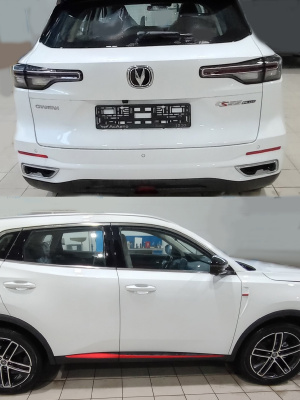 C01, CYSW, WC2, 021 CHANGAN Перламутровый Белый, Moonlight White. Аэрозольные баллоны.